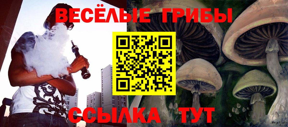 Псилоцибиновые грибы Cubensis Бор